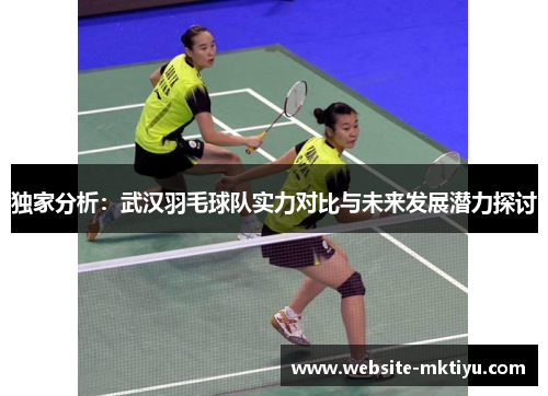 独家分析：武汉羽毛球队实力对比与未来发展潜力探讨