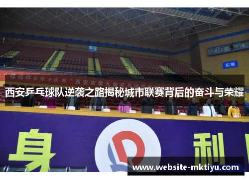 西安乒乓球队逆袭之路揭秘城市联赛背后的奋斗与荣耀