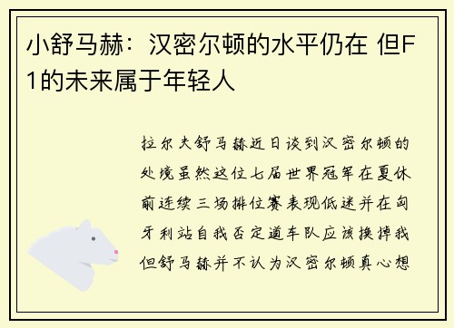 小舒马赫：汉密尔顿的水平仍在 但F1的未来属于年轻人